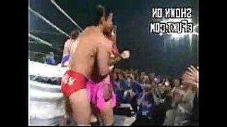 Japanese free style wrestling